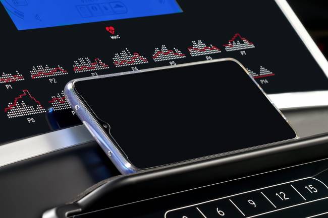 Беговая дорожка Titanium Masters Physiotech TGF Беговая дорожка Titanium Masters Physiotech TGF