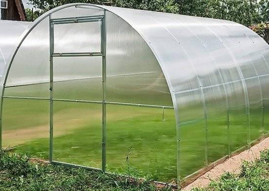 Теплица Агросфера Стандарт 6м, без СПК